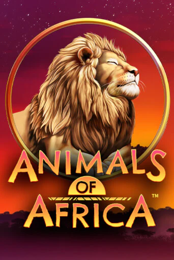 Игра Animals of Africa ™ от Microgaming | Чемпион Слотс Казино 