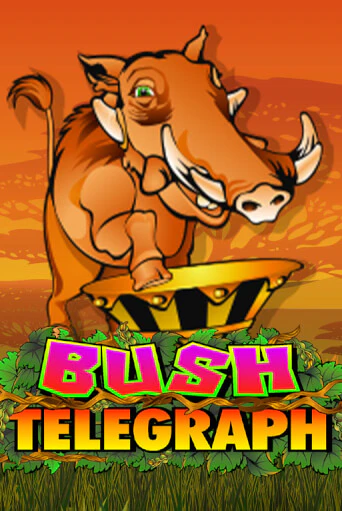 Игра Bush Telegraph от Microgaming | Чемпион Слотс Казино 