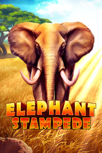 Игра Elephant Stampede от Ruby Play | Чемпион Слотс Казино 