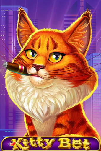 Игра Kitty Bet от Amatic | Чемпион Слотс Казино 