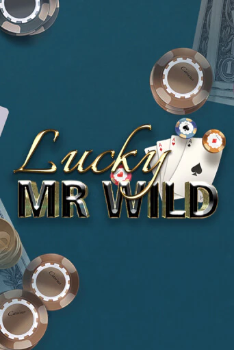Игра Lucky Mr. Wild от Lady Luck Games | Чемпион Слотс Казино 