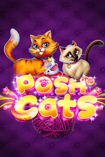 Игра Posh Cats от Platipus | Чемпион Слотс Казино 