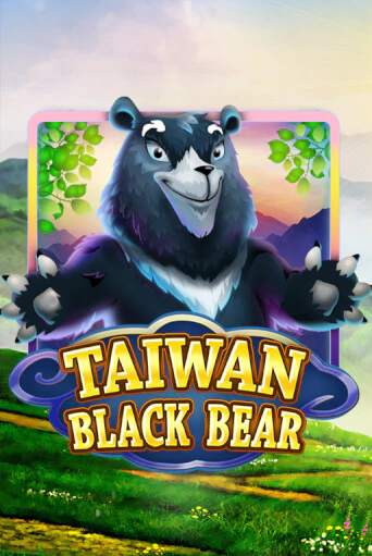 Игра Taiwan Black Bear от KA Gaming | Чемпион Слотс Казино 