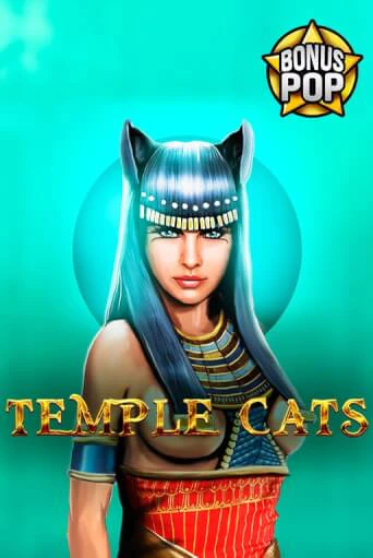 Игра Temple Cats от Endorphina | Чемпион Слотс Казино 