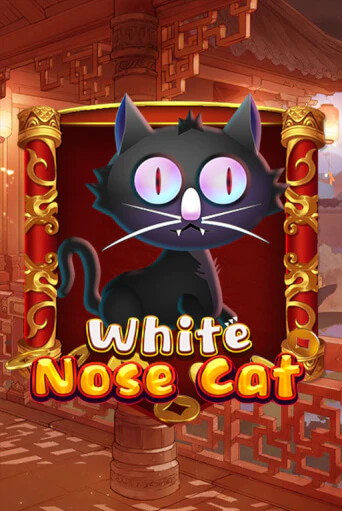 Игра White Nose Cat от KA Gaming | Чемпион Слотс Казино 