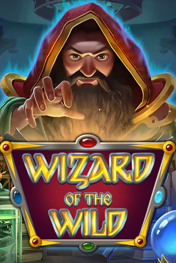 Игра Wizard of the Wild от Platipus | Чемпион Слотс Казино 