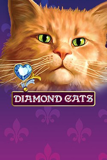 Игра Diamond Cats от Amatic | Чемпион Слотс Казино 